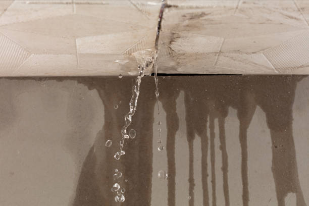 Professional Flood Damage Cleanup technician working in Marine City, MI